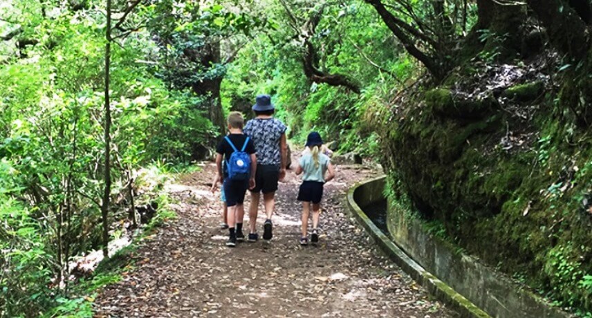 Atividades para crianças na Madeira - balcões levada